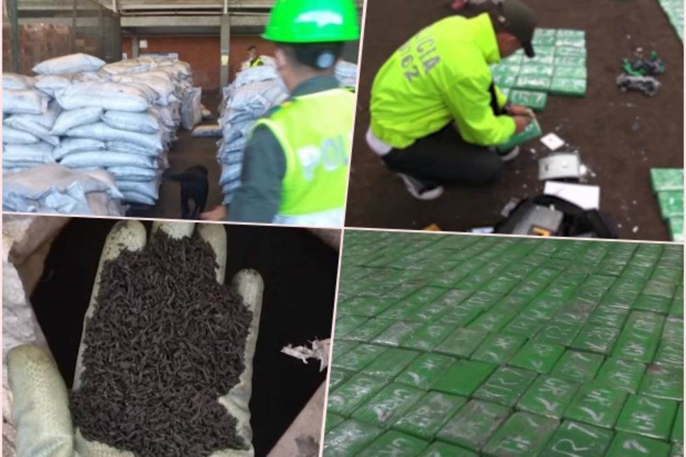 Tovar droge bio namijenjen ŠKALJARCIMA, evo kako je otkrivena pošiljka od 260 miliona eura!