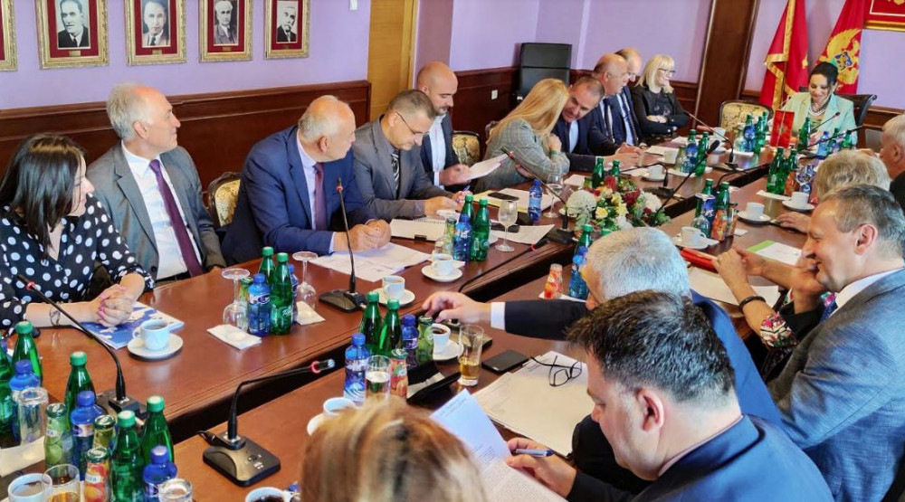 Medenica: Tokom epidemije sudovi riješili 97 odsto predmeta