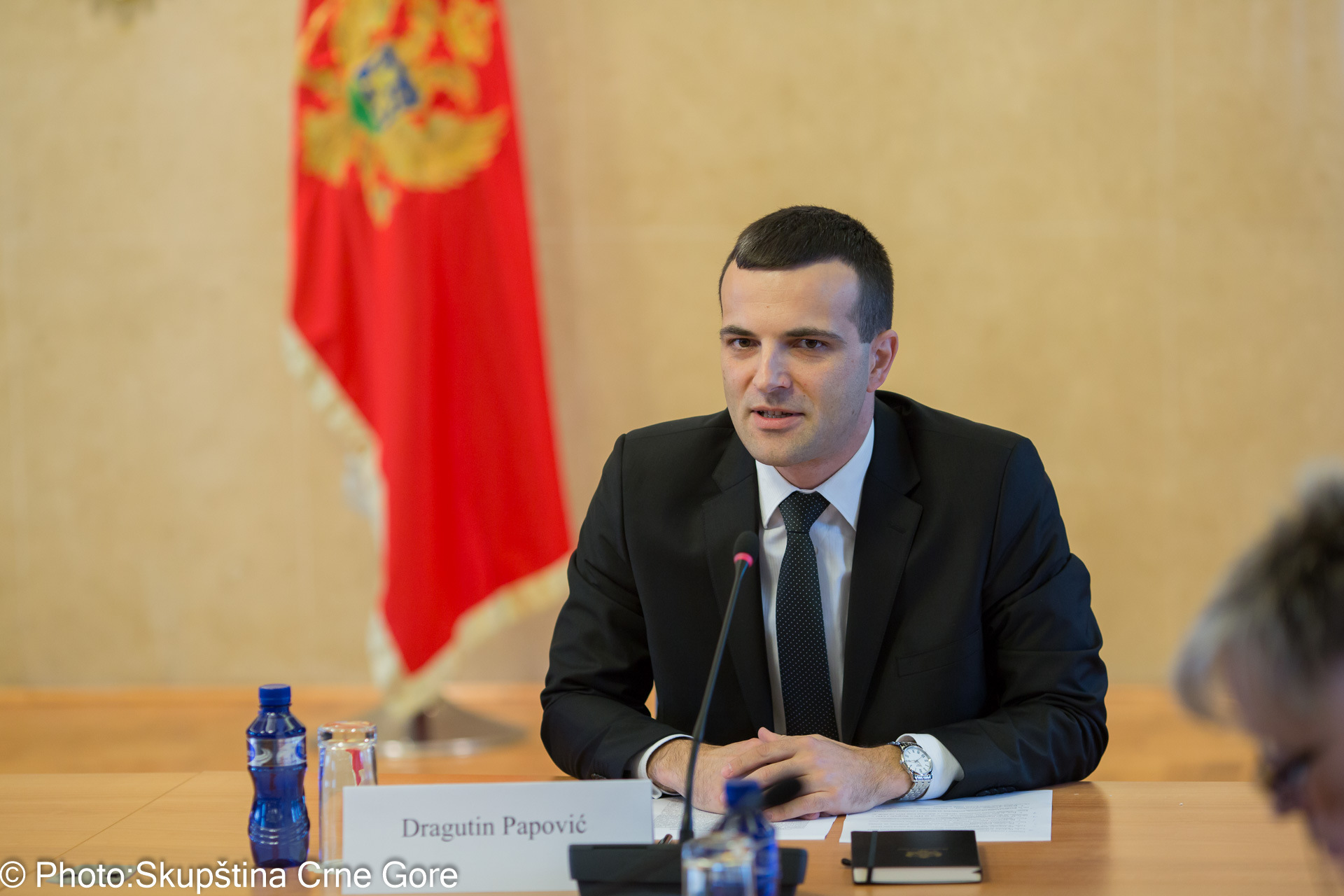 Papović: Dok je ove vlasti neće proći promocija fašizma