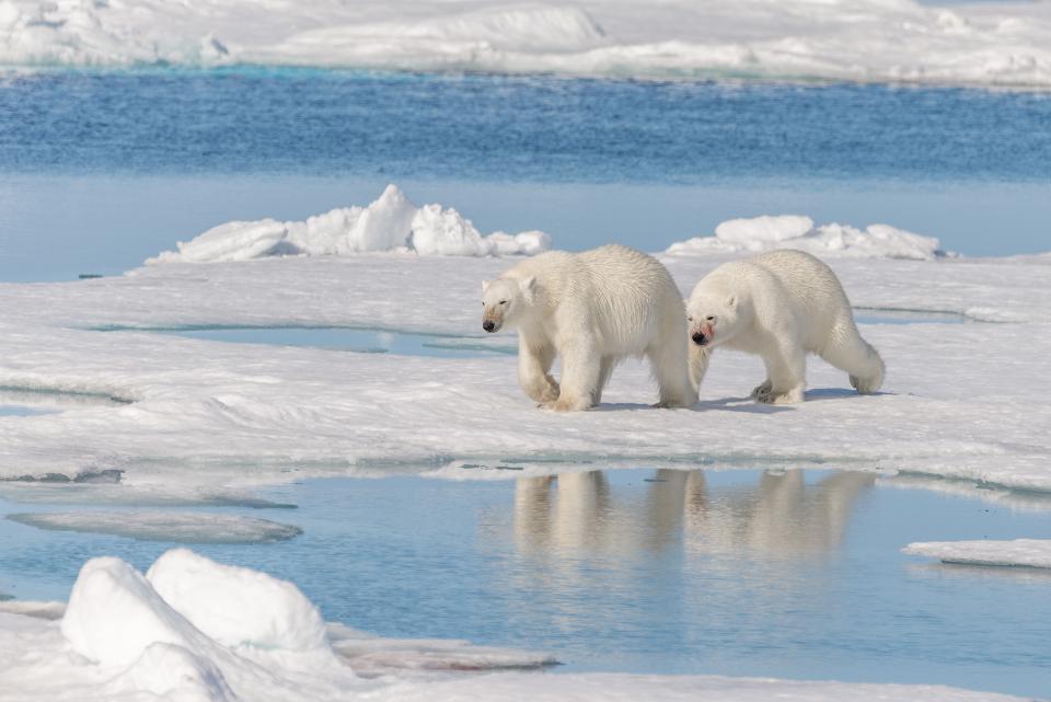 Rekordno visoka temperatura na norveškom Arktiku
