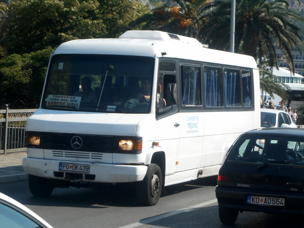 Sa mjesečnom kartom u sve autobuse