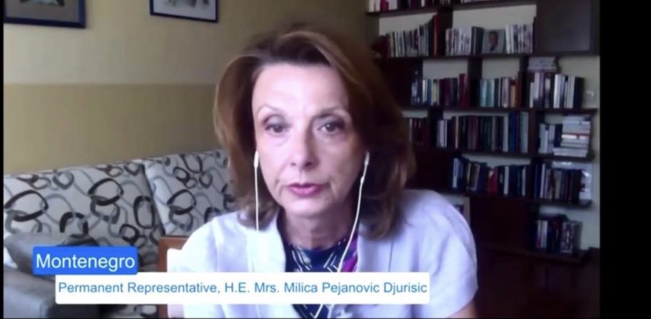 Pejanović ponovila stav Crne Gore: Osuđujemo genocid u Srebrenici
