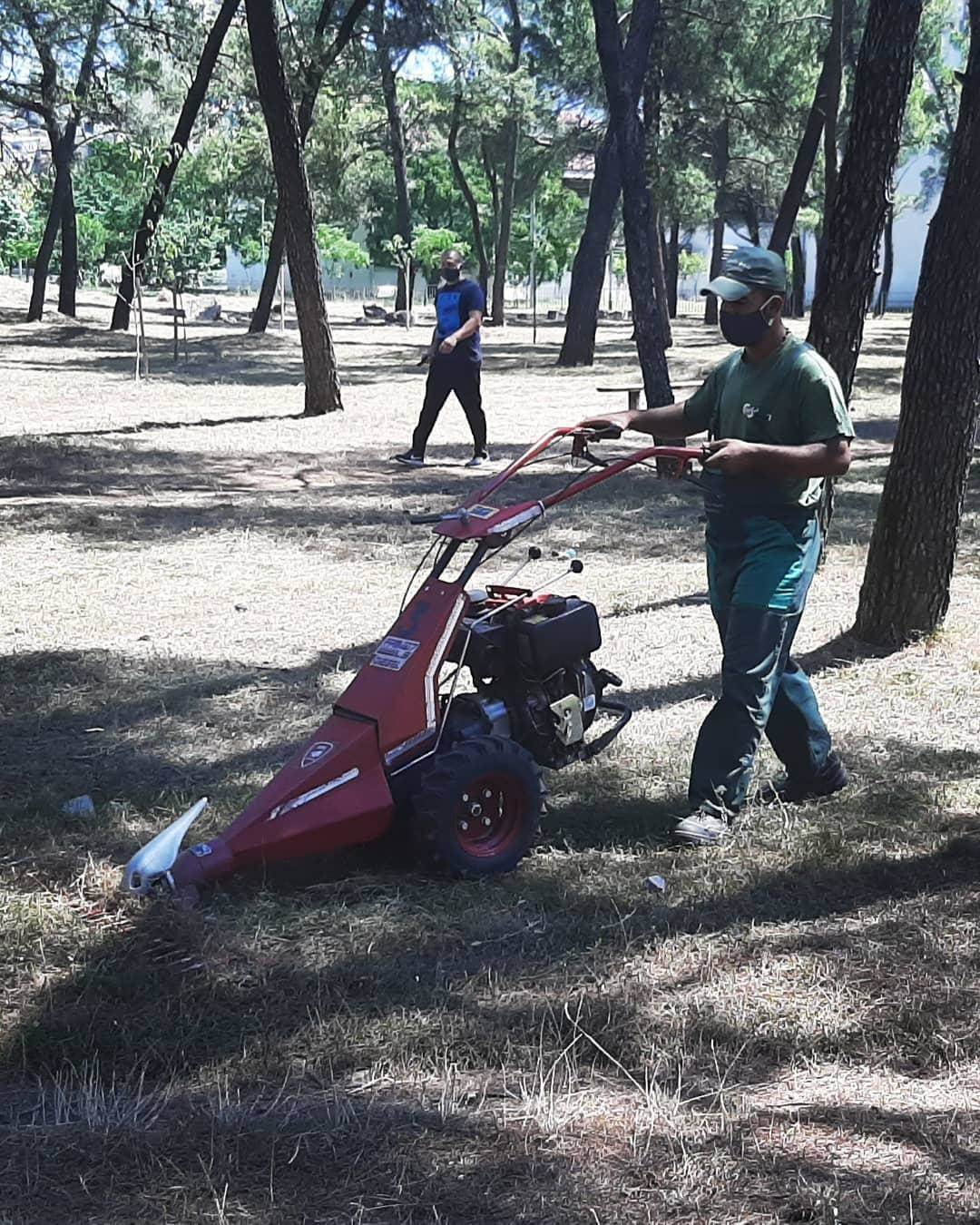Radnici Zelenila redovno održavaju travnjake i park šume u Podgorici