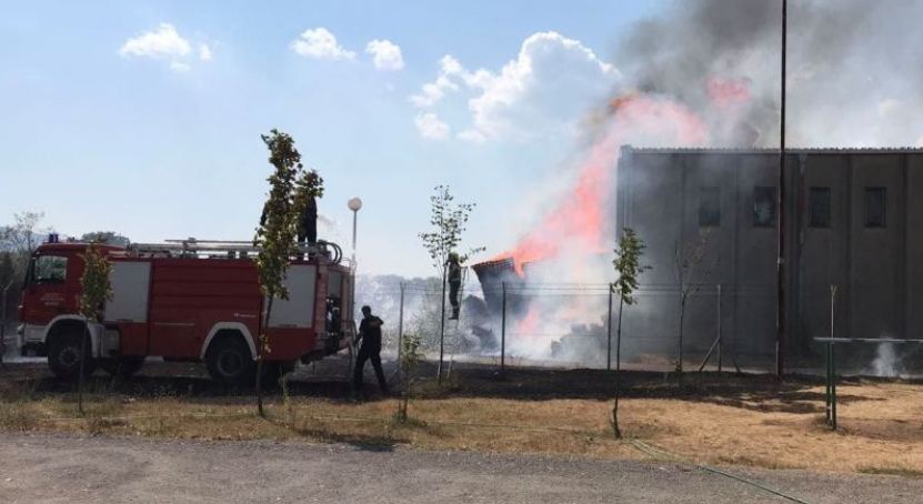 Veliki požar u Nikšiću, vatrogasci na terenu