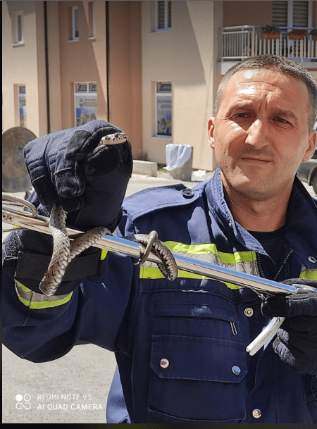 Pljevaljski vatrogasci uklonili zmiju iz dvorišta porodice Harbić u Podgoričkoj ulici