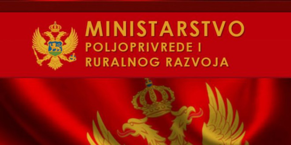Vlada podržala otkup jagnjadi po povoljnijim uslovima