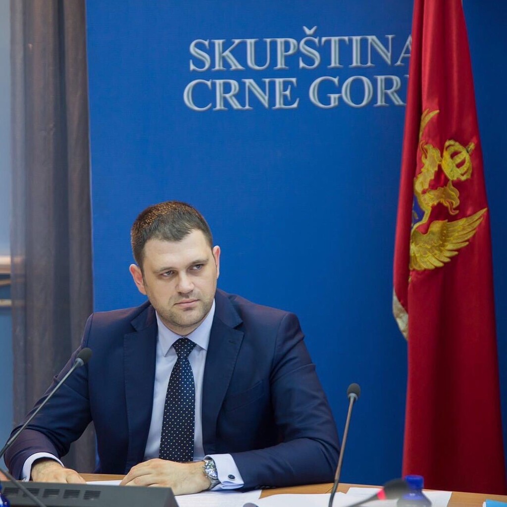 Anđušić DPS: Dijaspora temelj savremene multietničke i multikonfesionalne Crne Gore