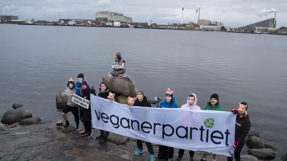 Stranka vegana prvi put na izborima u Danskoj