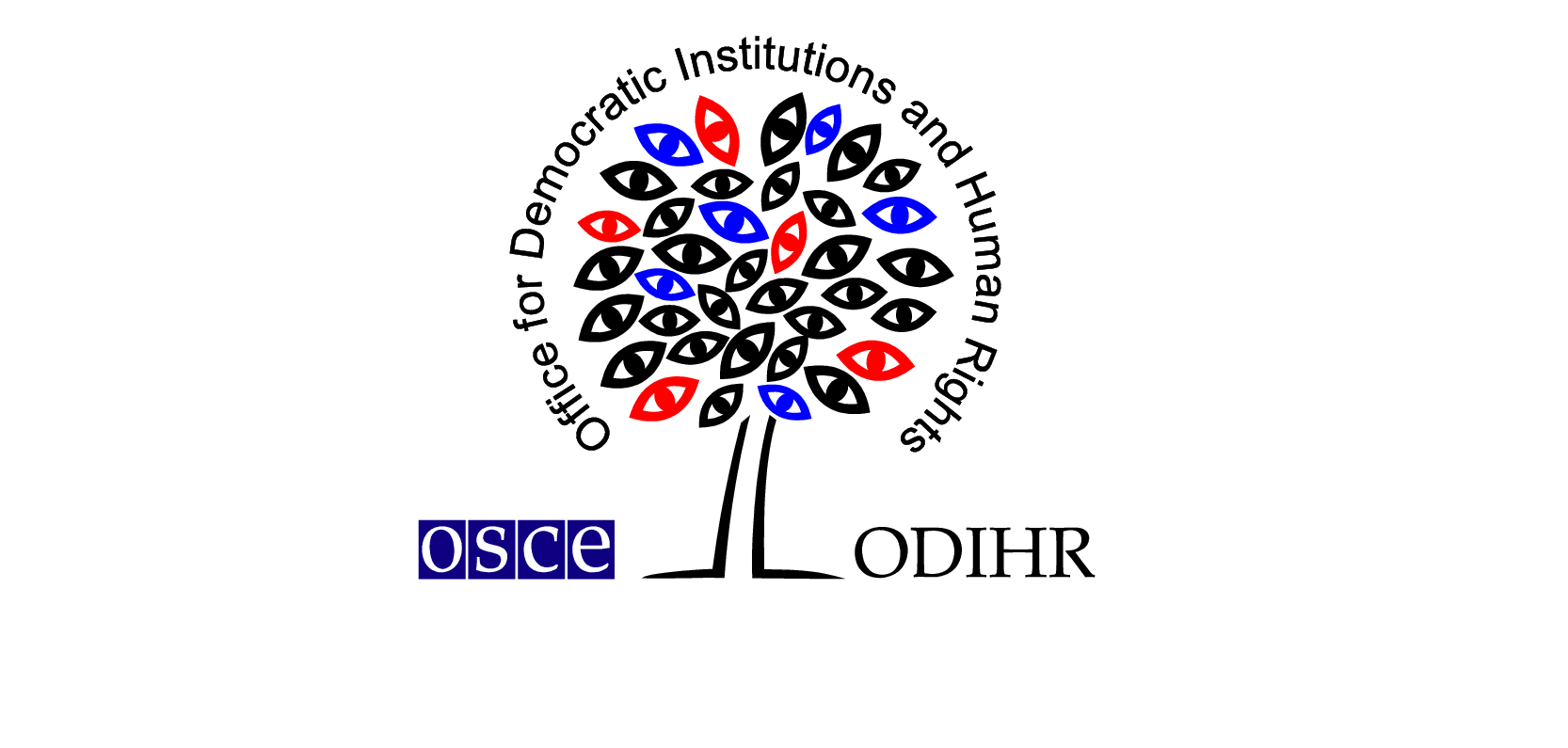 Misija ODIHR: Izbori sprovedeni transparentno, DIK nije adekvatno ispunio svoju ulogu