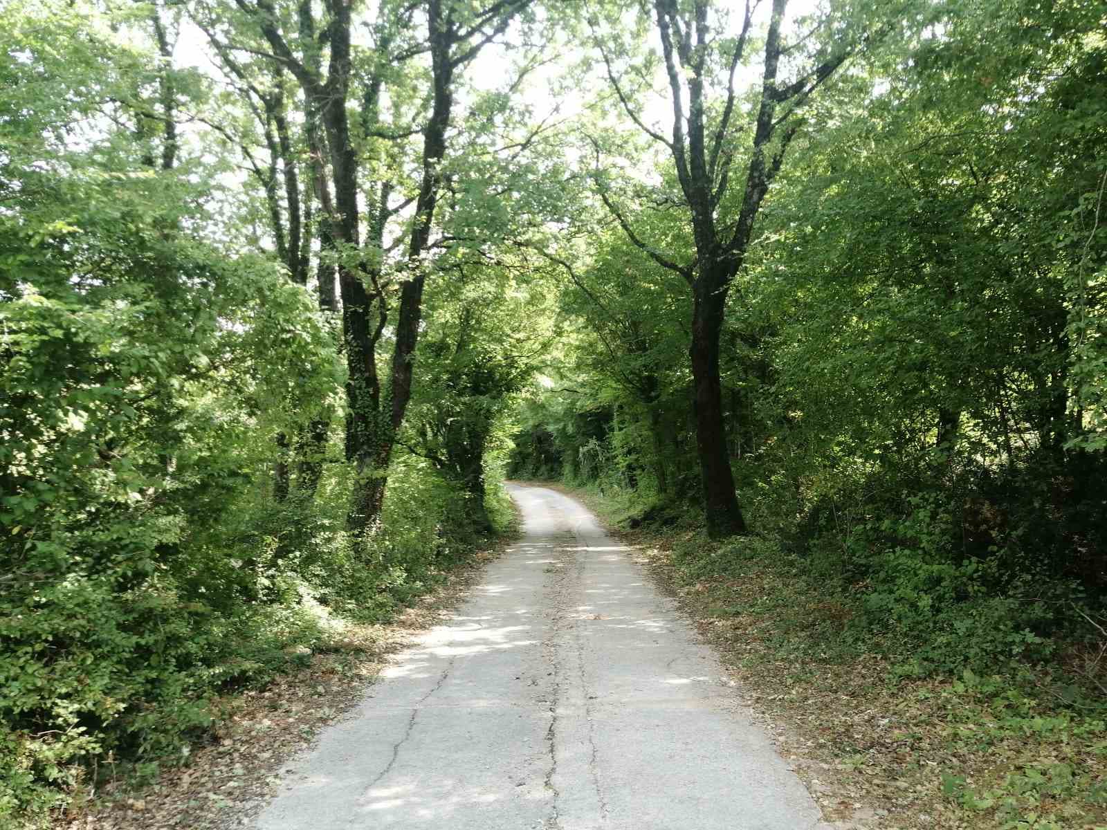 Tijelo bilo prekriveno zemljom: Kanadska državljanka brutalno ubijena pa zapaljena u HN?