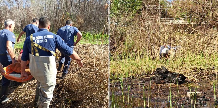Vatrogasci spasili čovjeka na kojeg je palo stablo