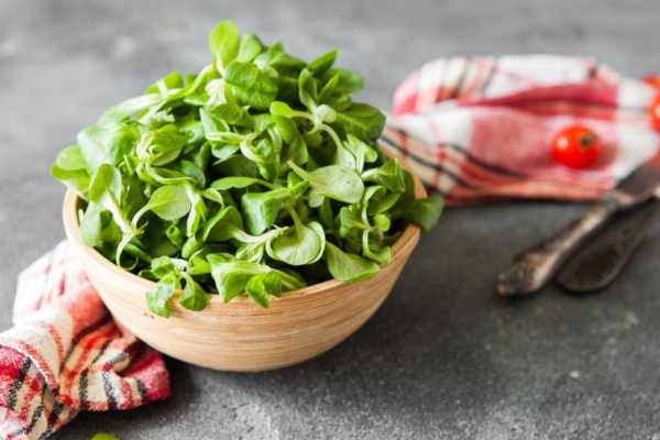 Ova salata gotovo da NEMA NIJEDNU KALORIJU