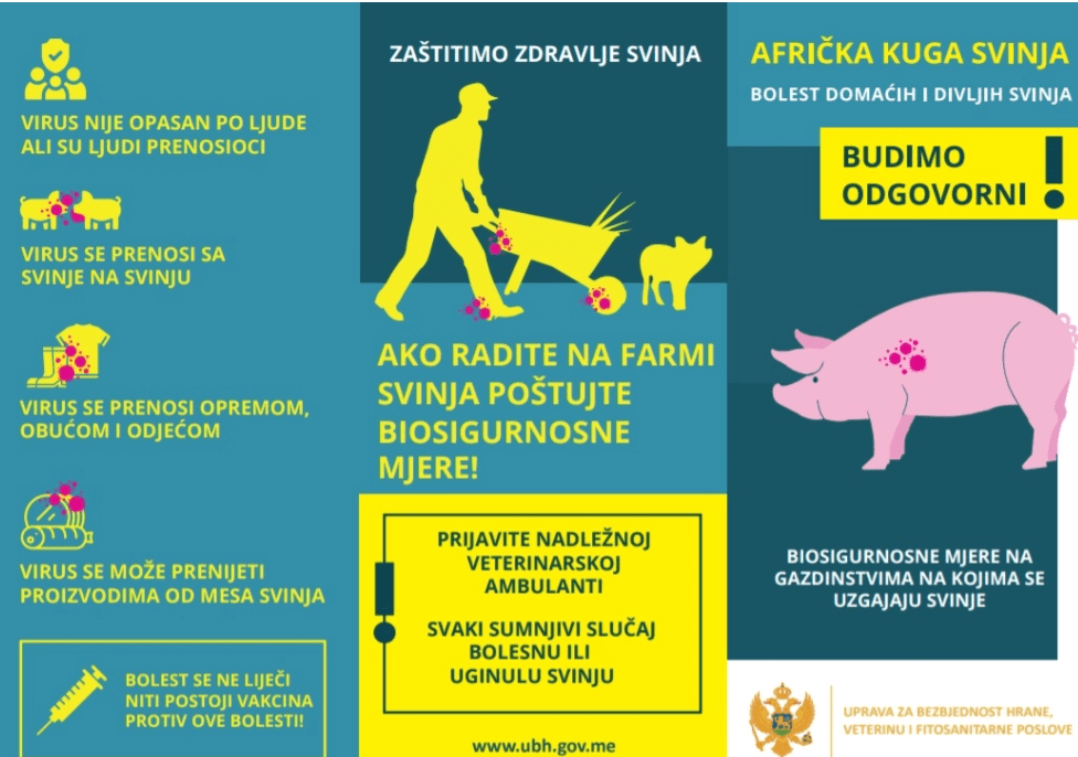 Spriječimo pojavu afričke kuge svinja u Crnoj Gori