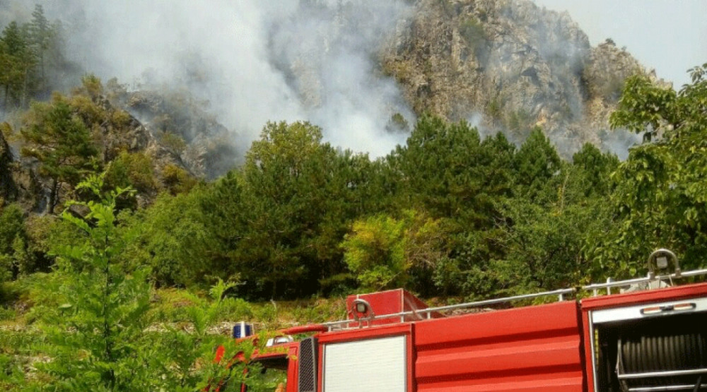 Cetinje: Požar na Višnjici, vatrogasci od jutros na terenu