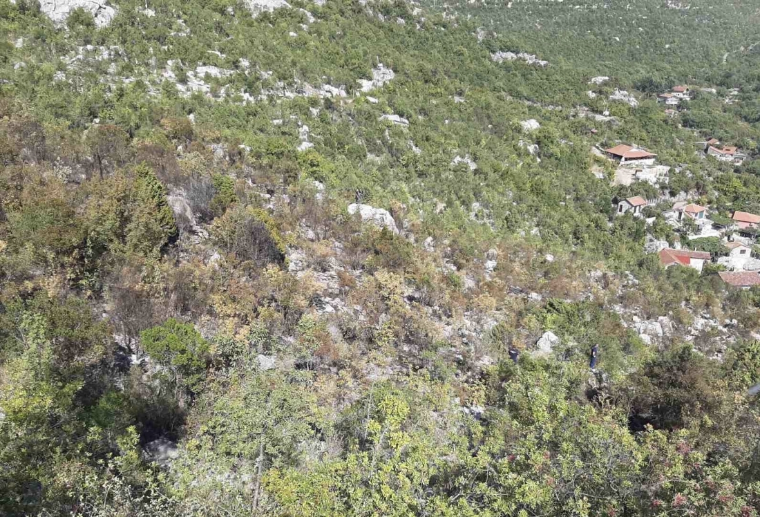 Cetinjski vatrogasci ugasili veliki požar na Karuču