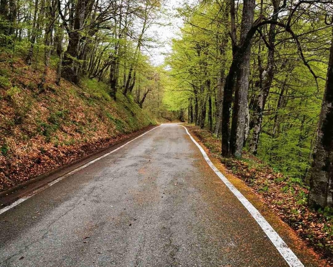 NP Biogradska gora zatvoren za posjetioce