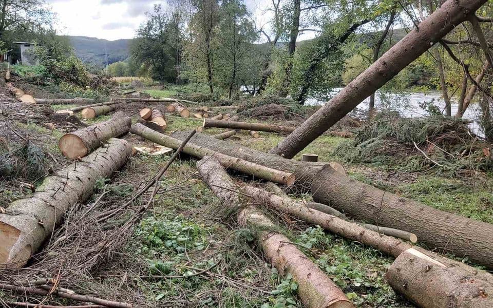 Euromost: Uništeni čempresi uz obalu Lima i park prirode (FOTO)