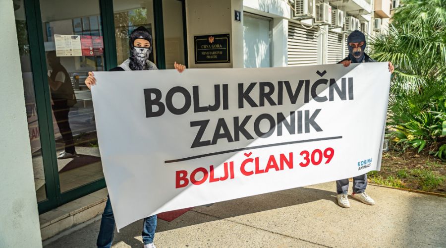 Za ubijanje životinja potreban bolji krivični zakon