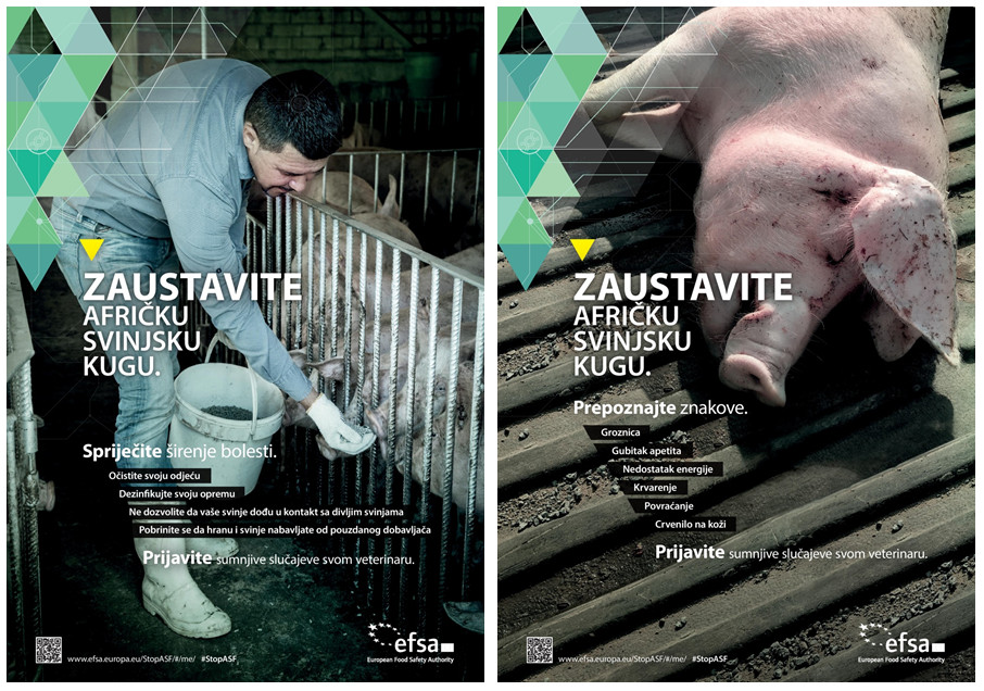 EFSA kampanja: Podizanje svijesti u borbi protiv afričke svinjske kuge