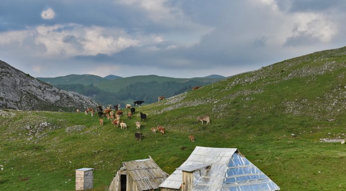 Sačuvajmo Sinjajevinu: Delegacija EU pomno prati slučaj