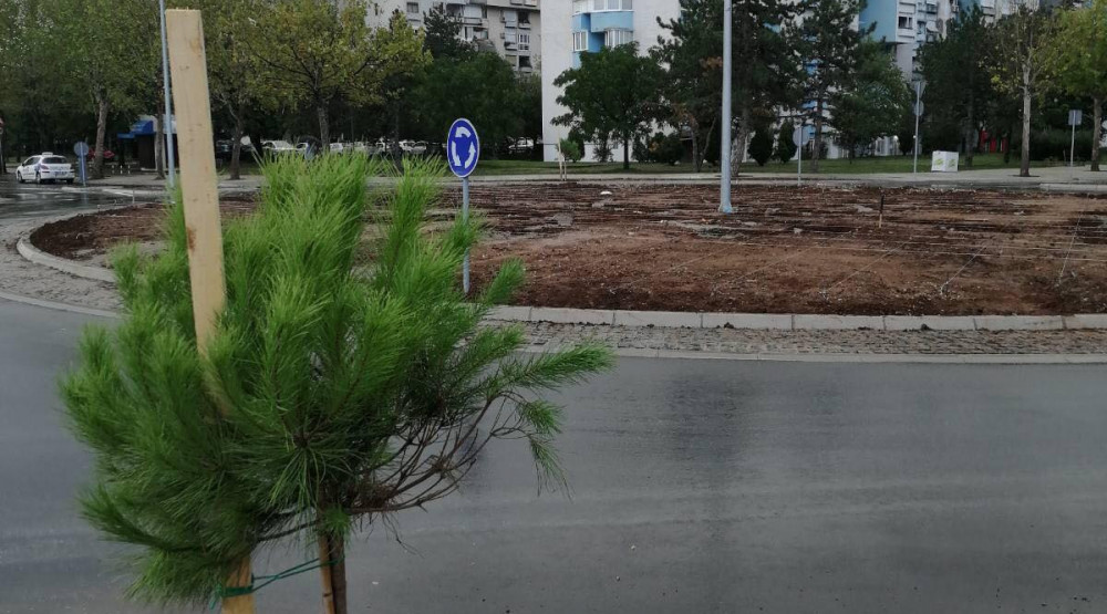 Ekipe Zelenila pejzažno uređuju kružni tok u Bloku V