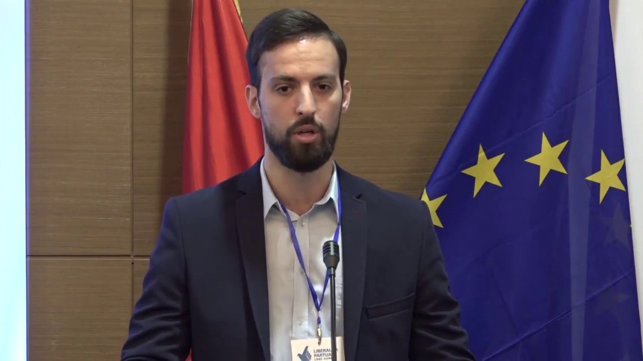 ZIROJEVIĆ: CRNA GORA je građanska, a ne SRPSKA DRŽAVA