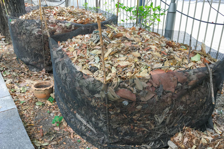 Evo šta sve možete da uradite sa opalim lišćem: Savjet profesionalnih baštovana!
