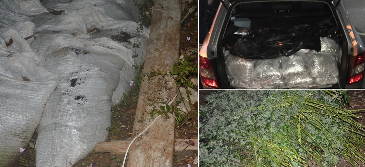 (FOTO) UDAR NA KRIMINAL: Policija za samo dva dana zaplijenila oko tri tone droge