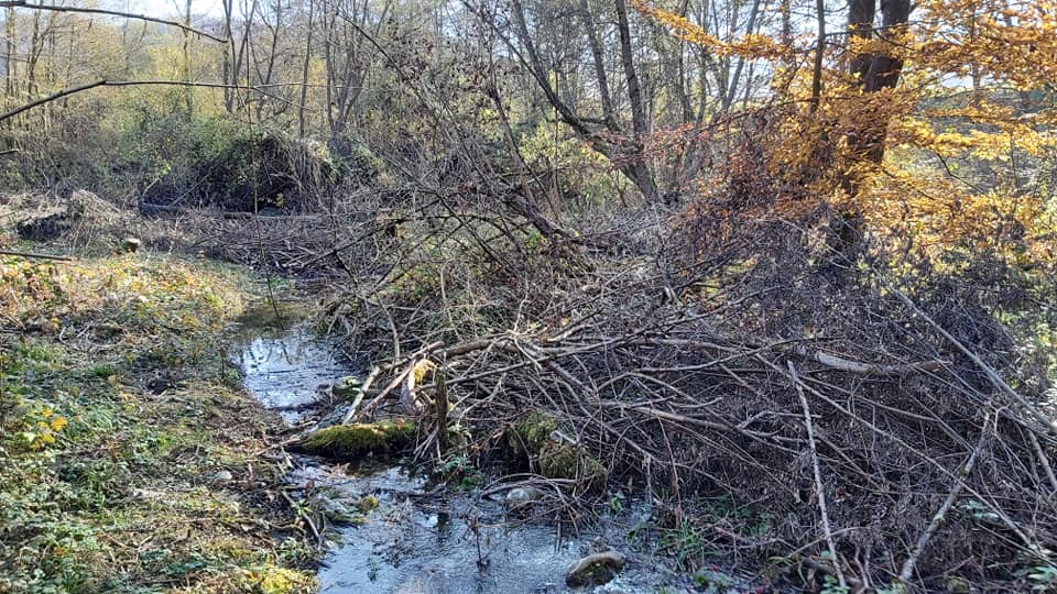 Euromost: Uništen dio obale rijeke Bistrice u Bijelom Polju