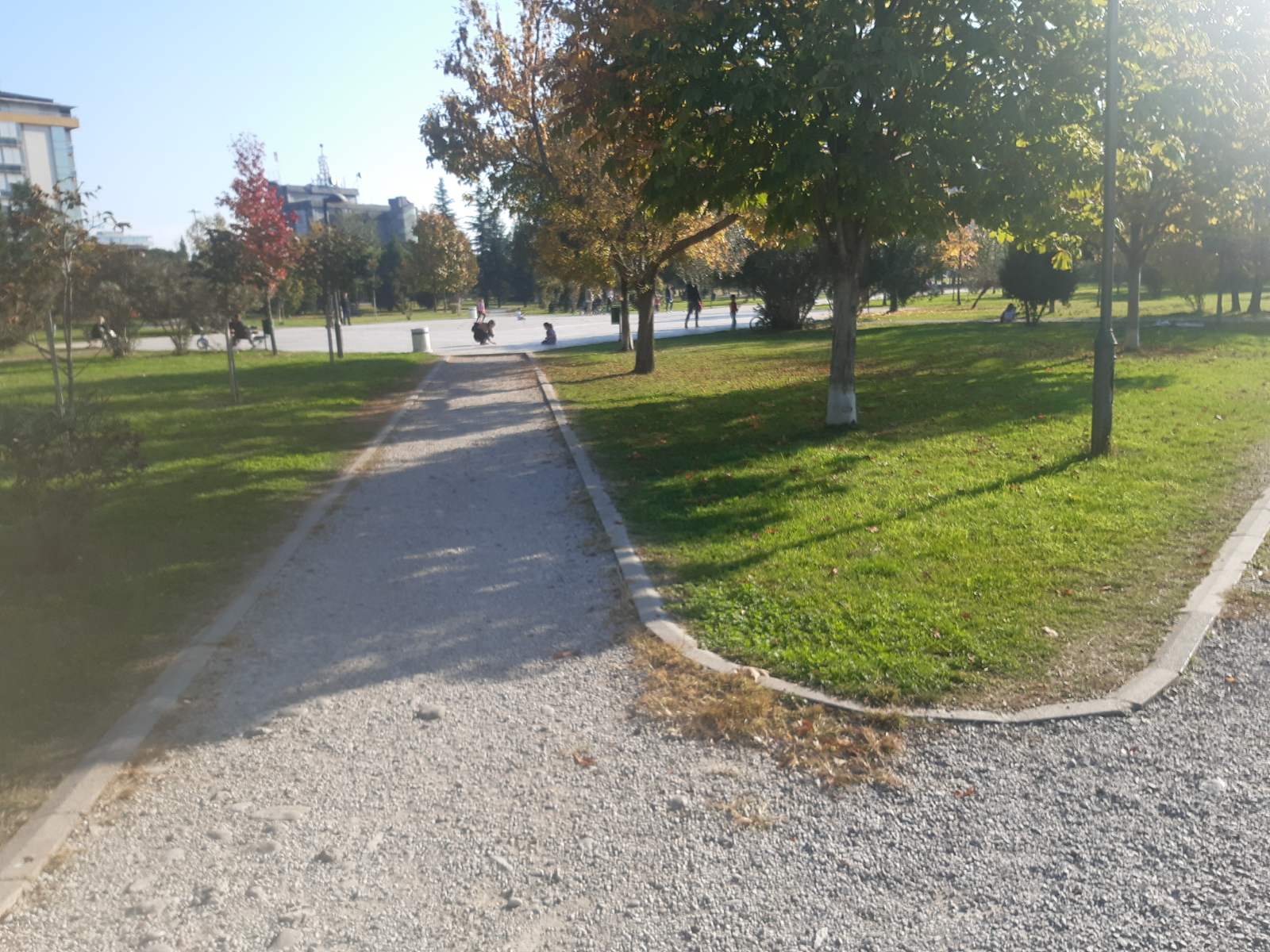 Građani da ne šire neprovjerene informacije o posutom otrovu, ekipe Čistoće obilaze teren