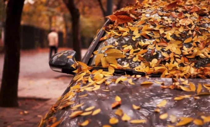 Zašto je važno da očistite opalo lišće sa automobila
