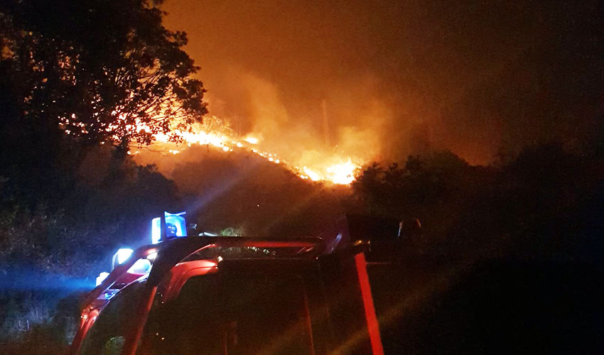 Veliki požar iznad Korala u Sutomoru, 25 vatrogasaca gasilo vatru