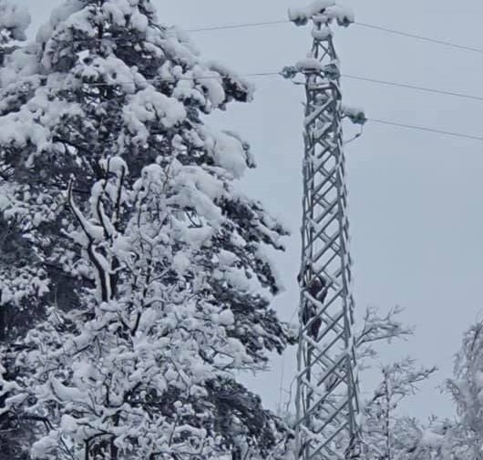 Djelovi Kolašina postepeno dobijaju struju