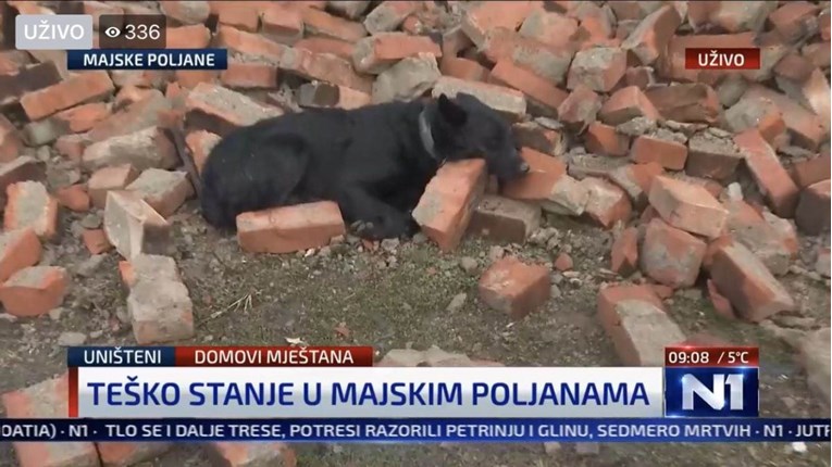 Fotografija koja slama srce: Pas u Majskim Poljanama čuva kuću koje više nema