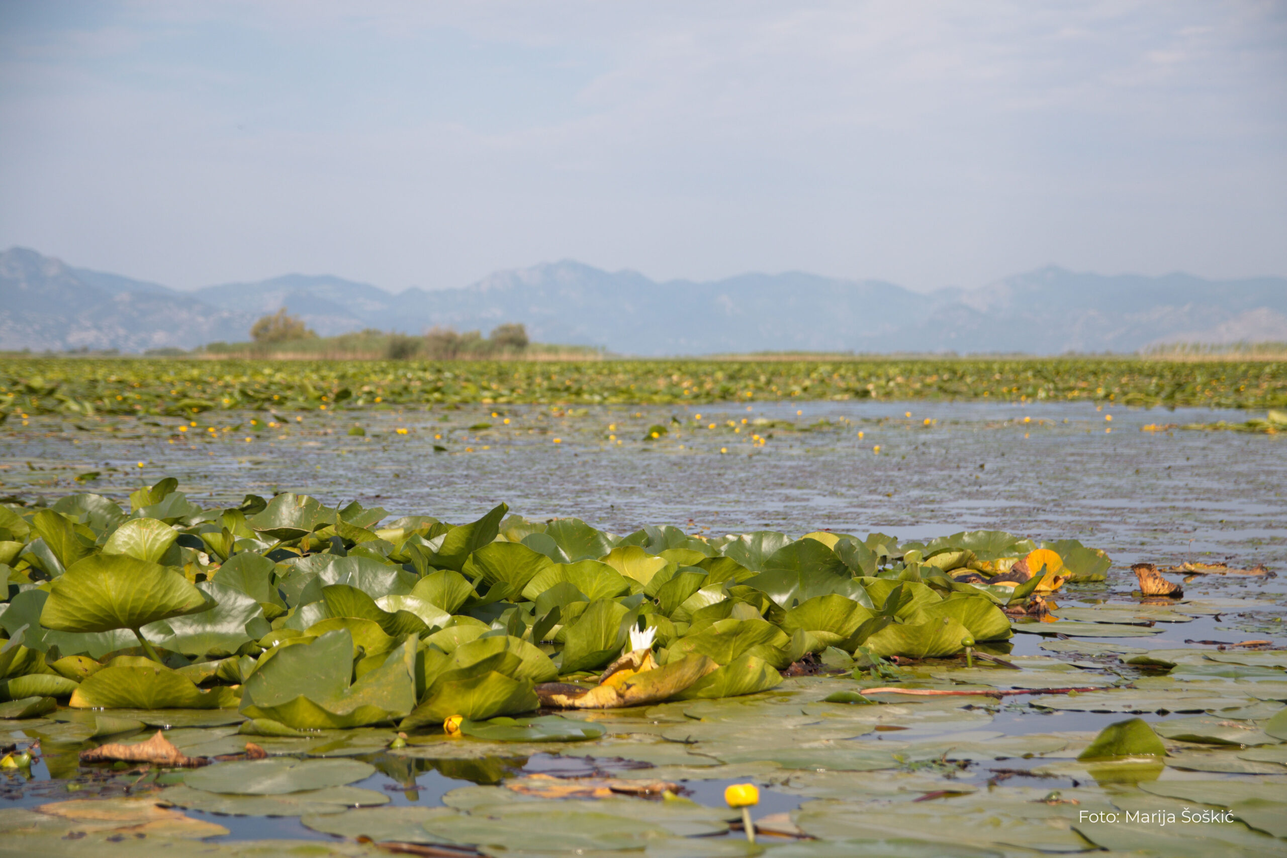 CZIP: Za unapređenje turističke infrastrukture u NP Skadarsko jezero 280.000 eura