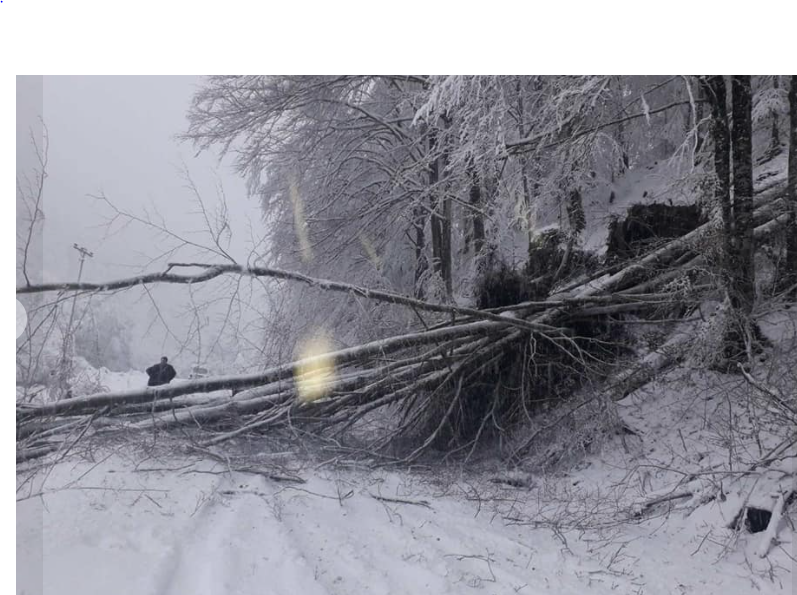 Bez struje dio Kolašina i dio Berana
