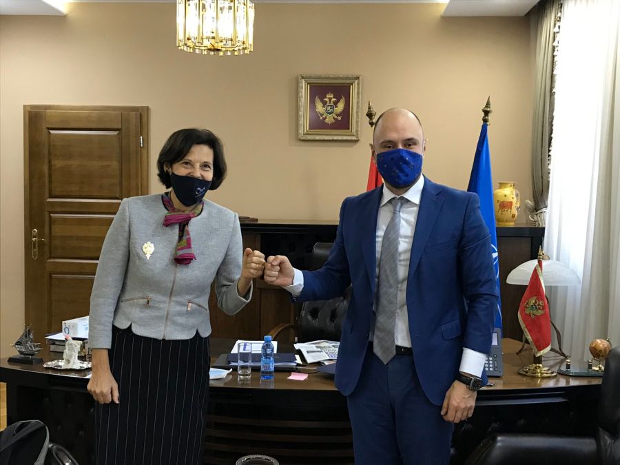 Radulović – Janković: Snažna podrška Austrije evropskom putu Crne Gore
