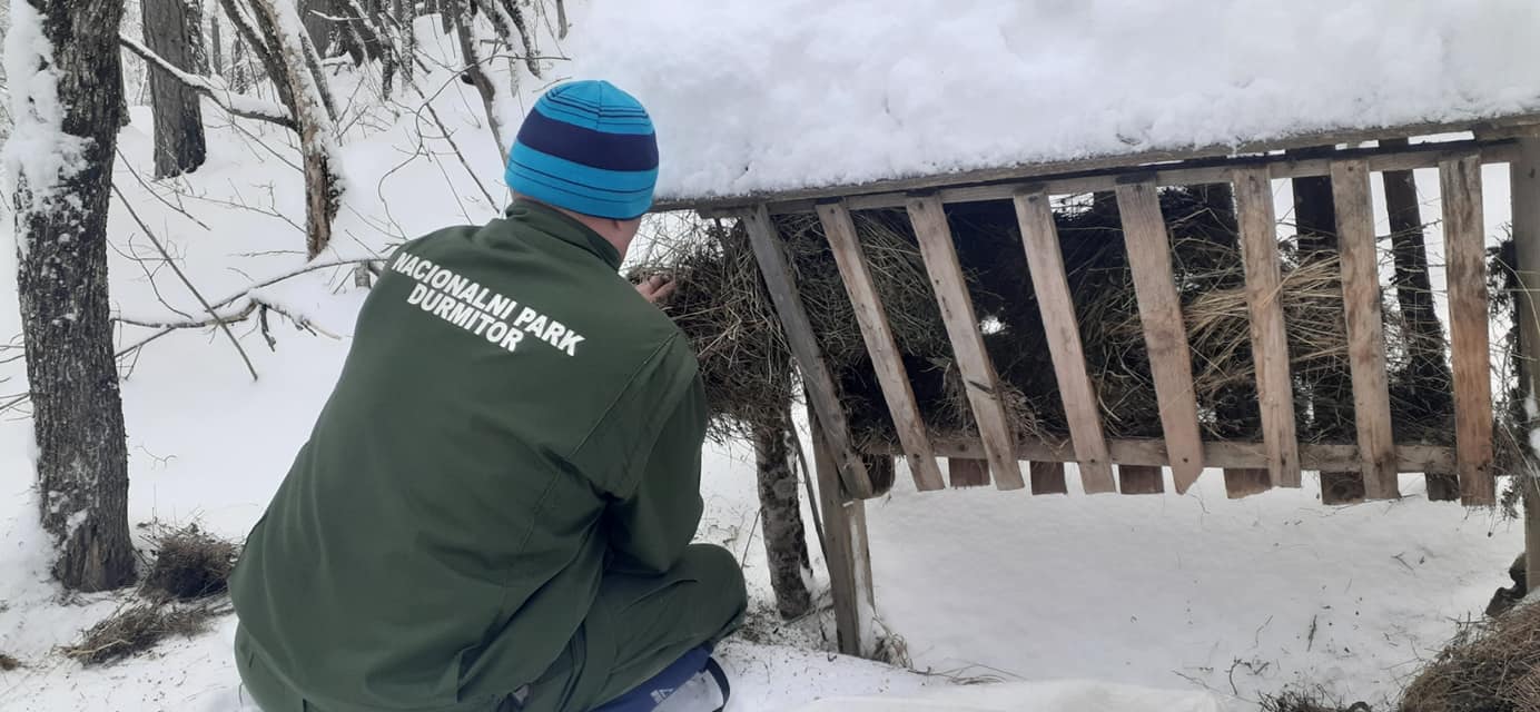 NP Durmitor: Zaposleni imaju pune ruke posla, čišćenje snijega, obilazak hranilišta za divlje životinje (FOTO)