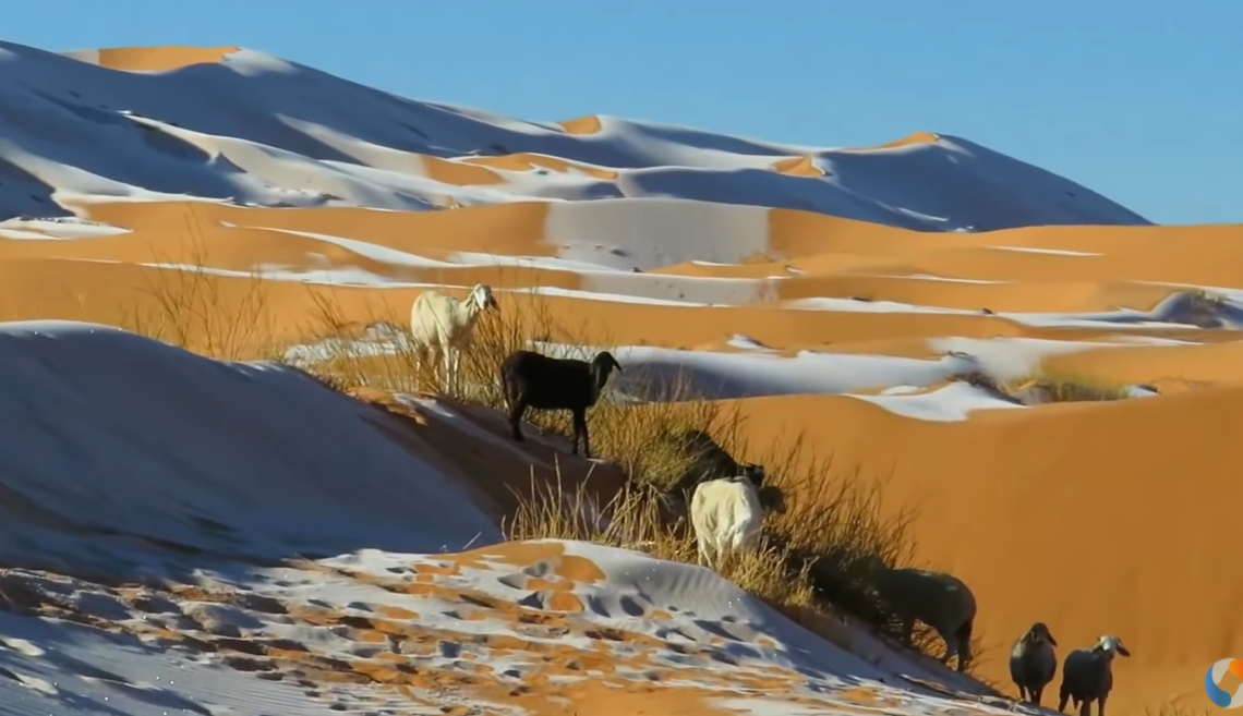 U Sahari pao snijeg (VIDEO)