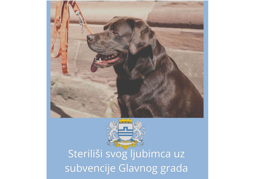 Sterilizacija ljubimaca uz subvencije Glavnog grada