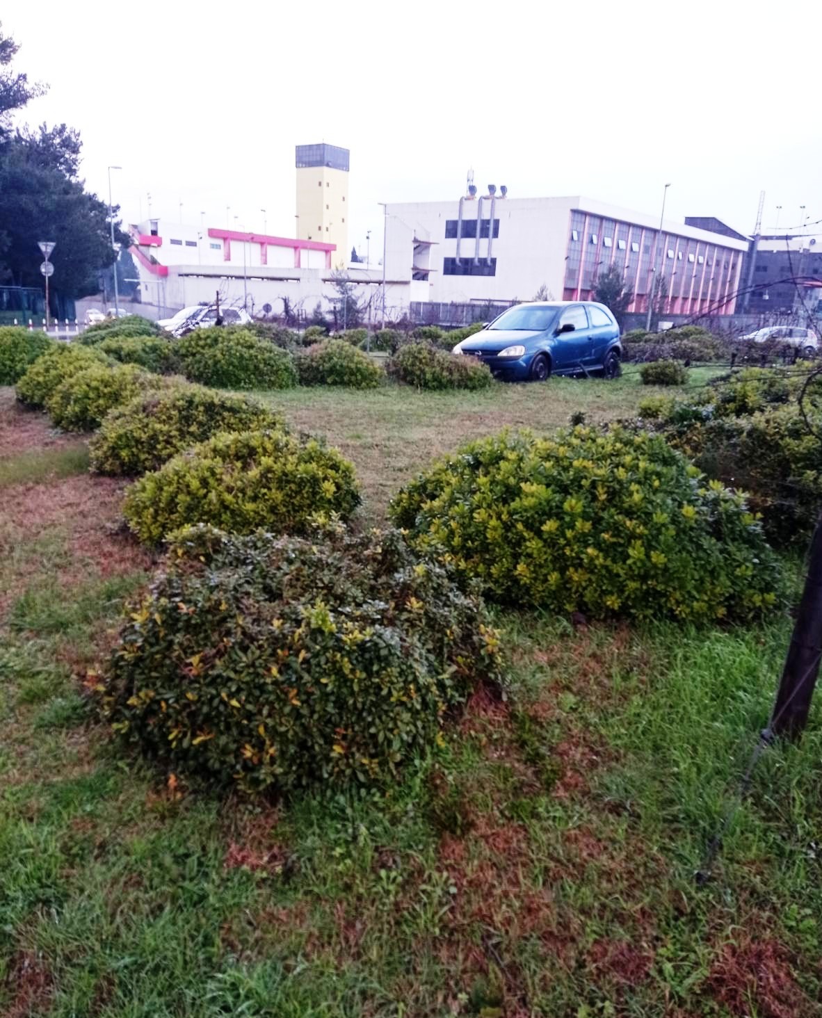 Uništeno zelenilo na Bulevaru 21. maj, apel vozačima da se savjesno ophode prema zelenim površinama