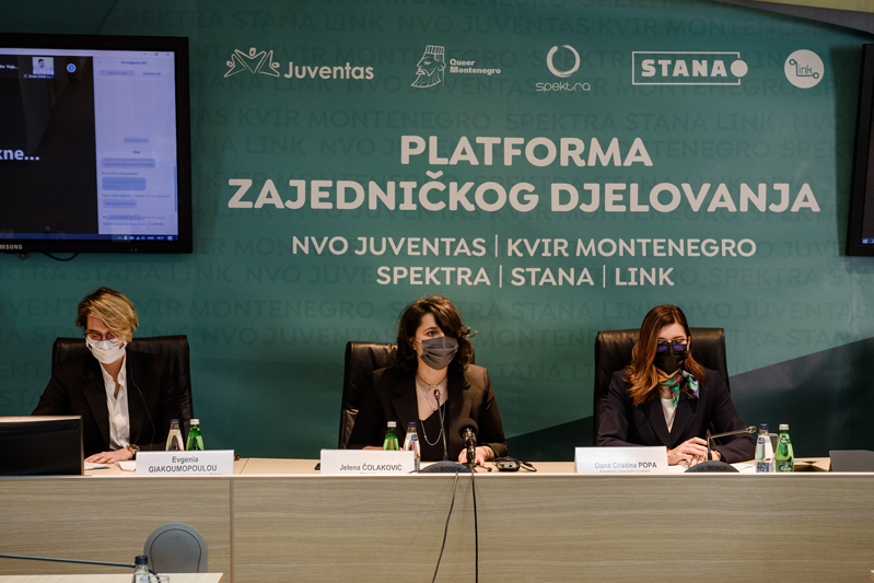 Platforma zajedničkog djelovanja primjer vizije buduće Crne Gore