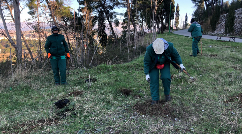 Akcija pošumljavanja na Ljuboviću, posađeno 500 sadnica