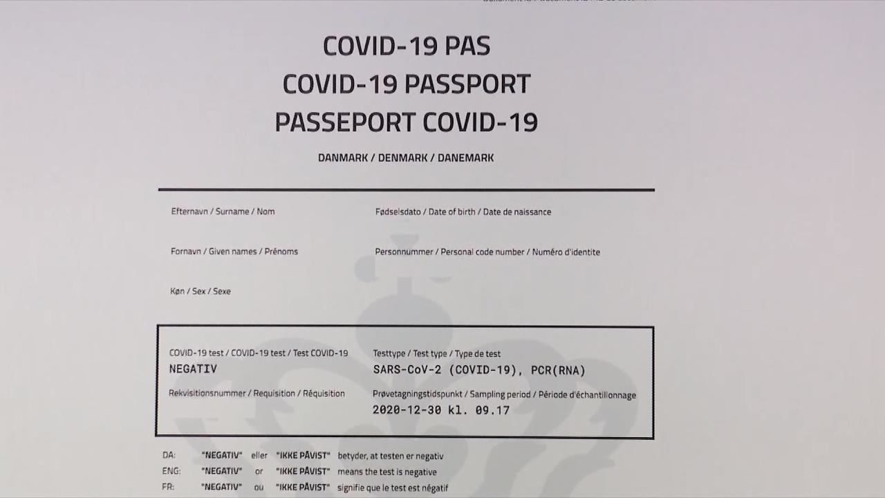 Kovid-pasoši u Evropi važiće samo za vakcine odobrene u EU