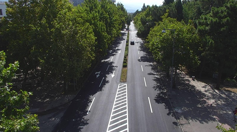 Nastavlja se izrada Katastra zelenih površina u Podgorici