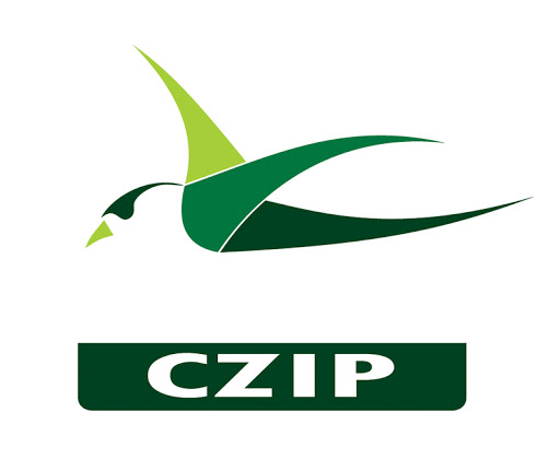 CZIP: Nova Vlada, stare boljke