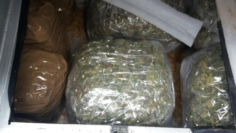 Na Dračenovcu zaplijenjeno 45 kg marihuane