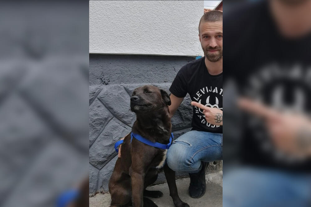 Beograd: OVO je pas kojeg je mladić htio ŽIVOG DA POJEDE (FOTO)