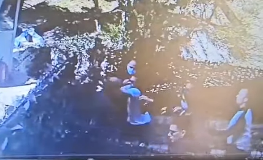 Video nasilništva na Svetom Stefanu: Vandalizam u Miločerskom parku, napadnut i radnik obezbjeđenja