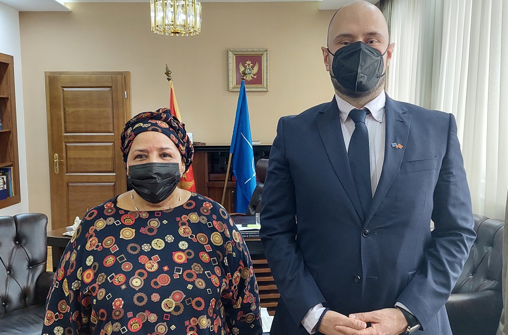 Radulović- Sislu: U fokusu ekonomsko povezivanje dvije zemlje